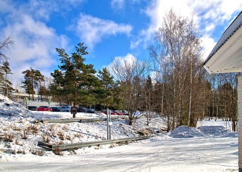 Just one colorful photo of the first sunny day after long cold winter.