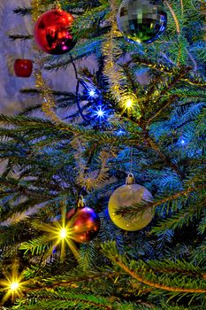 Blue and yellow decorative lights on fresh green christmas tree.. Decorated with golden glitter and round ornaments.