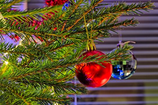 Shiny reflective christmas decoration on the christmas tree.