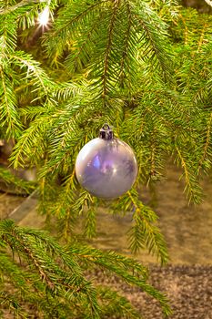 Only one round ornament hanging on the christmas tree.