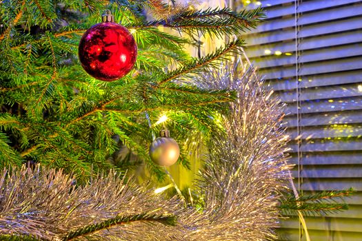 Red shiny christmas ball on the christmas tree. Surrounded with green branches and golden glitter.