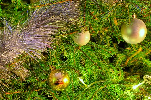 Golden christmas decorations on fresh green branches.