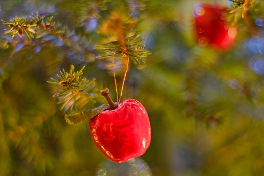 Red apple shaped decoration hanging on christmas tree.