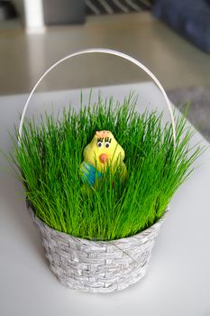 Cute easter chick decoration in the basket with fresh grown green grass.