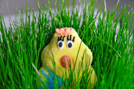 Closeup portrait of cute Eastern chick decoration candy in the basket filled with fresh green grass.