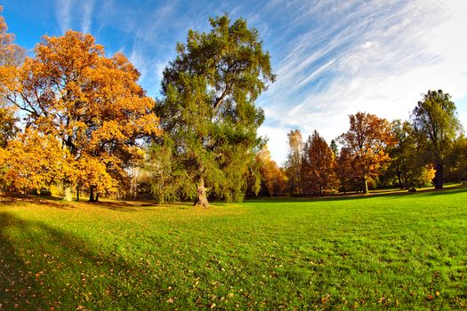 Autumn is here. Weather still warm and sun is shining but trees are taking beautiful golden colors