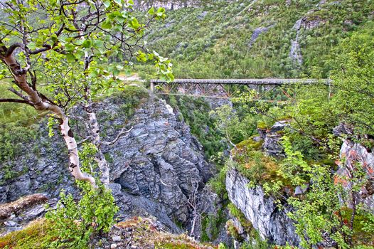 Bridge crossing deep canyon with river at the bottom, in the Fjords of Norway. Small tree on the foreground.