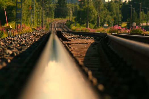 Empty railroad from low perspective.