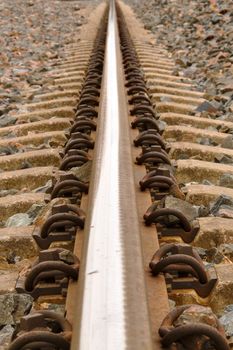 One rail of the railroad tracks.