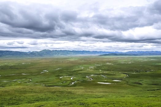 The Awancang Wetland in Gannan, Gansu province. Altitude 3501.