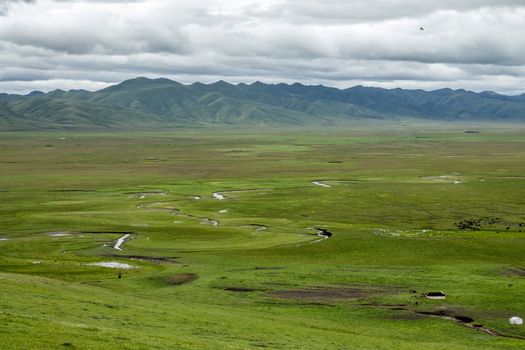 The Awancang Wetland in Gannan, Gansu province. Altitude 3501.