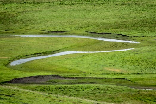 The Awancang Wetland in Gannan, Gansu province. Altitude 3501.