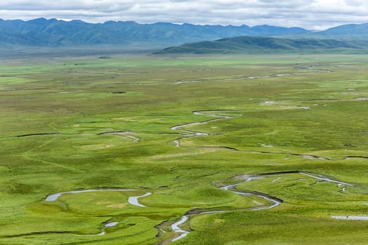 The Awancang Wetland in Gannan, Gansu province. Altitude 3501.