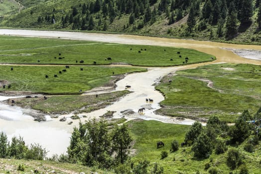 The Sequ river in the moutain near the Lharong Monastery in Sertar, Sichuan province.