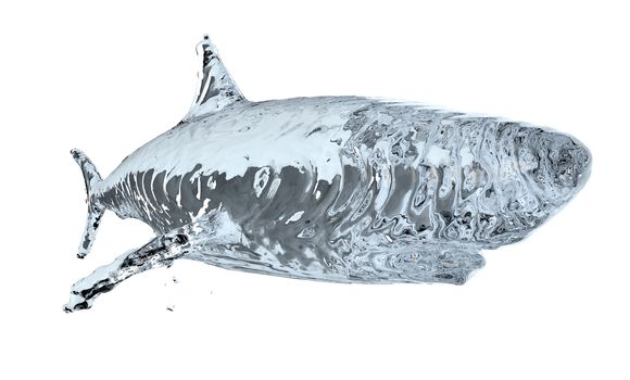 Water shark isolated on white background. 3d illustration