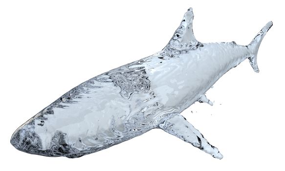 Water shark isolated on white background. 3d illustration