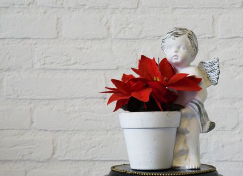 red christmas star flower in a angel flowerpot in closeup and brick wall background