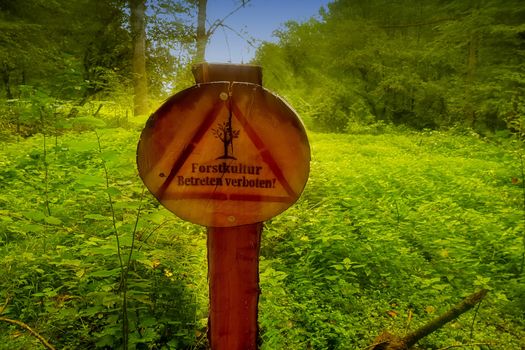 Round wooden sign with inscription in german - Forstkultur Enter forbidden
Sunbeams in the background. Lens flare desirable. Intentional blur.