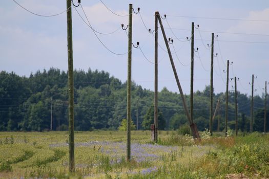 High-voltage power line on wooden poles glade near the forest. Electricity poles in field. Grass, forest and blue sky background, Latvia.