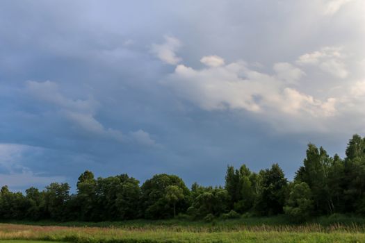 Summer landscape with meadow, wood and cloudy blue sky. Classic rural landscape in Latvia.