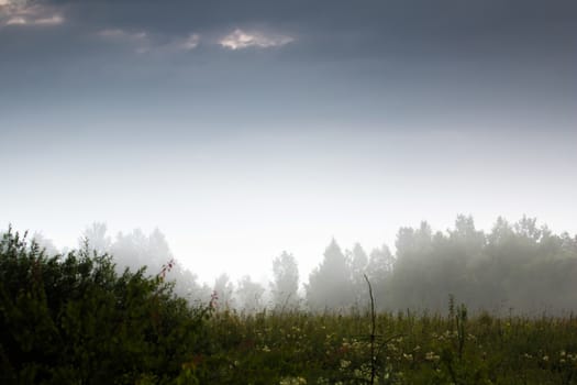 Beautiful landscape with mist. Summer beautiful idyllic landscape in Latvia. Meadow, wood and sky with mist. Rural landscape with mist on the coast of river Memele, Latvia.
