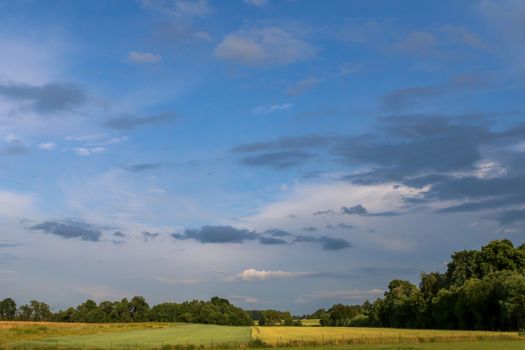 Summer landscape with meadow, wood and cloudy blue sky. Classic rural landscape in Latvia.