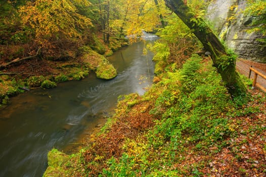 A beautifully clean river flowing through a colorful autumn forest