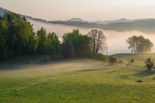 Autumn landscape with hills and forests in sunny morning mist