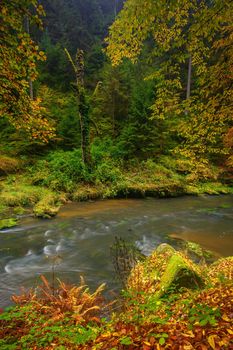 A beautifully clean river flowing through a colorful autumn forest