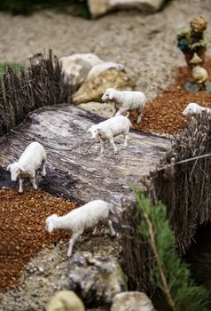 Sheeps in a nativity scene, detail of figures of decoration at Christmas