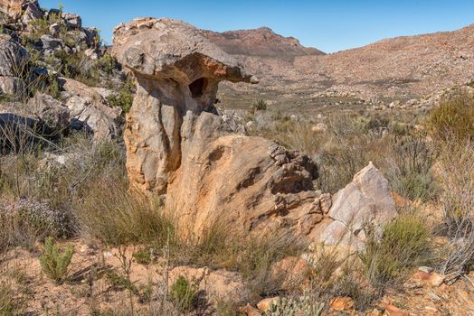 A rock formation, looking like a shoe or anvil, near the start of the Maltese Cross hiking trail near Dwarsrivier in the Cederberg Mountains