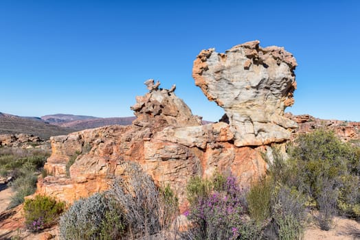Rock formations at the Stadsaal Caves and Rock Art site in the Cederberg Mountains in the Western Cape Province of South Africa, Wild flowers are visible