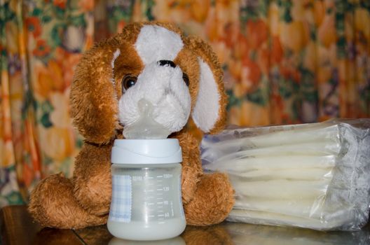 baby bottle with fresh expresed milk, frozen breastmilk in storage bags and soft toy dog, breastfeeding concept