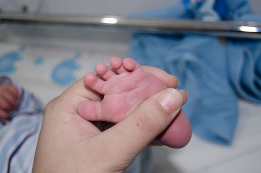 Mother massaging little newborn baby foot, close up