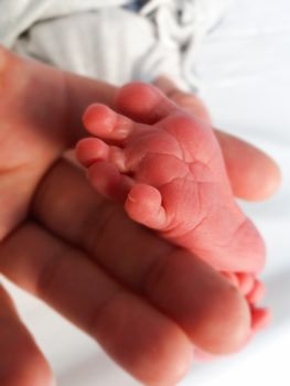 mother holding little foot from two days old newborn baby,