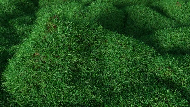 Green grass growing on hills. Top view. 3d rendering