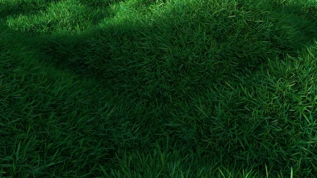 Green grass growing on hills. Top view. 3d rendering