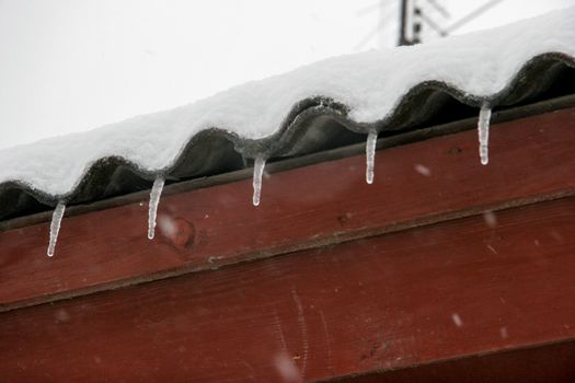 The roof of house covered with snow and icicles. Icicles hanging from roof. Winter in Latvia. Icicles hang from brown house roof. 