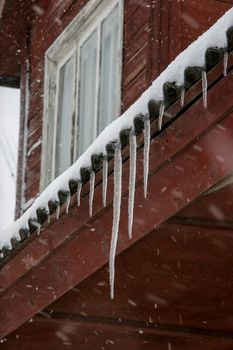 The roof of house covered with snow and icicles. Icicles hanging from roof. Winter in Latvia. Icicles hang from brown house roof. 