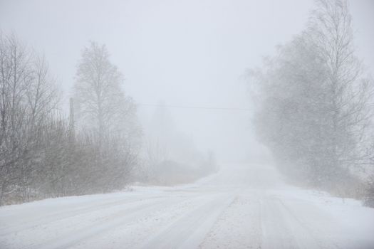 Beautiful landscape of the forest on a cold winter day with trees covered with snow. Snowfall in the forest in Latvia. Country road covered with snow. Winter in forest. 

