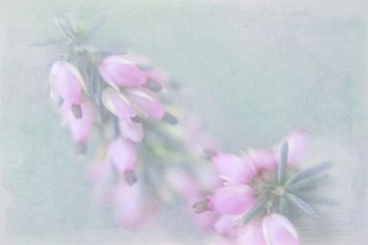 Small pink florets in pastel tones on a green indistinct background with the imposed texture