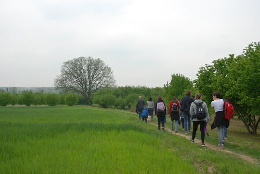 Walk through the meadows of the Langhe