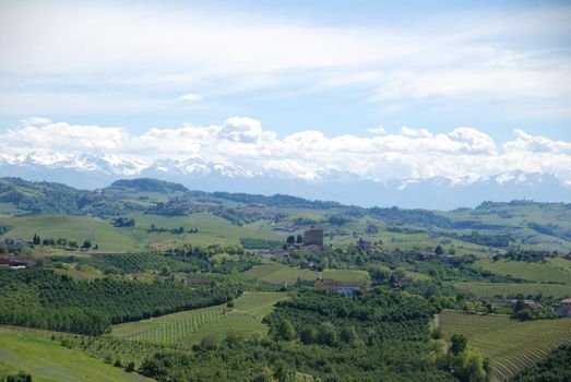 View of Langhe hills with vineyards and the Alps mountains in the background, Piedmont - Italy