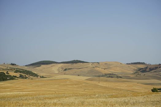 Country landscape with hay bales