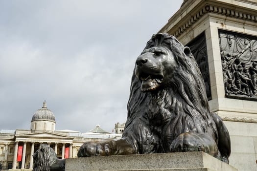 Lion at the base of the Nelson column in London in Trafalgar square