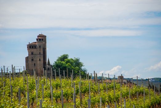 View of Langhe hills with Castle, Piedmont - Italy