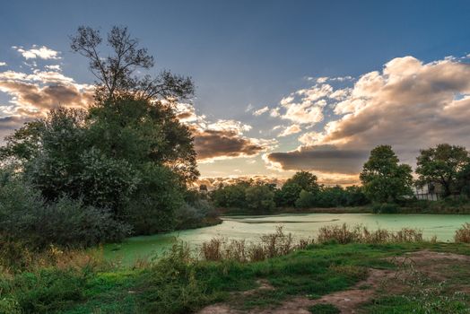 Panoramic view of the Old dirty green pond covered with duckweed and mud in a summer day