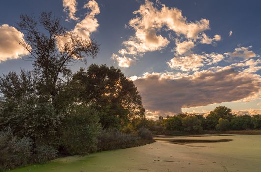 Panoramic view of the Old dirty green pond covered with duckweed and mud in a summer day