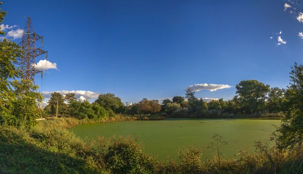 Panoramic view of the Old dirty green pond covered with duckweed and mud in a summer day