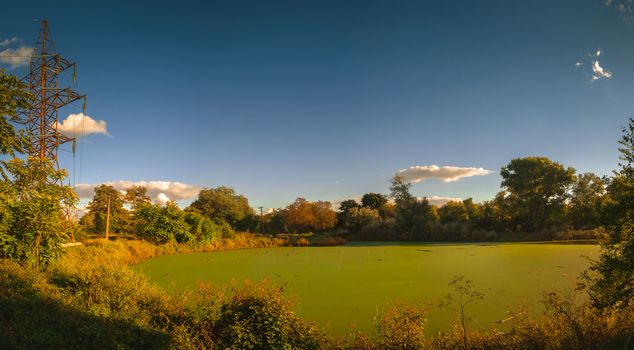 Panoramic view of the Old dirty green pond covered with duckweed and mud in a summer day